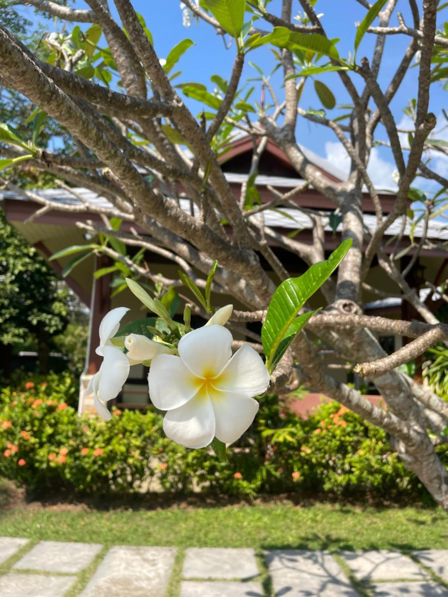 แกรนด์ มานิตา บีช รีสอร์ท Lamai Beach  ภายนอก รูปภาพ